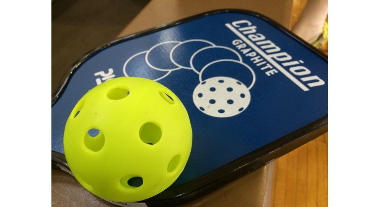 What Is Drop Shot in Pickleball