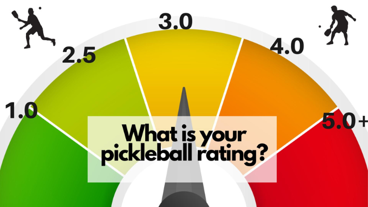 pickleball rating

