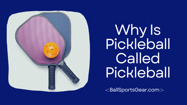 Why Is Pickleball Called Pickleball