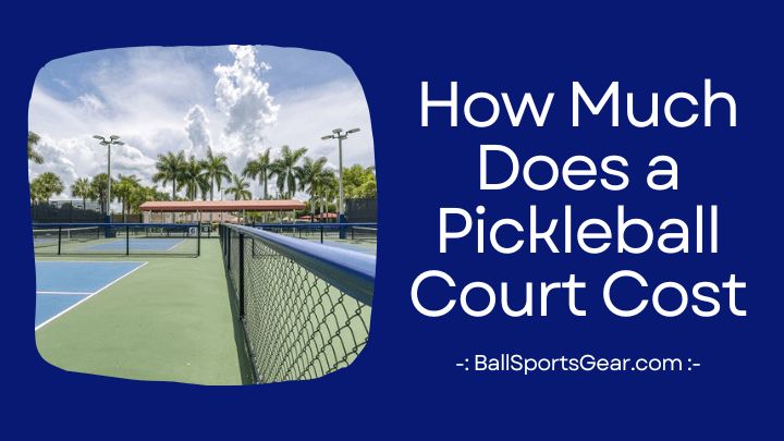 How Much Does a Pickleball Court Cost