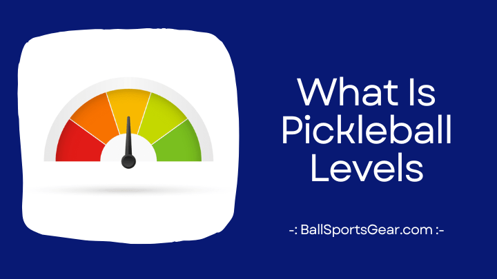 What Is Pickleball Levels