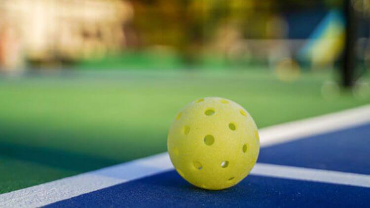 line in or out in pickleball