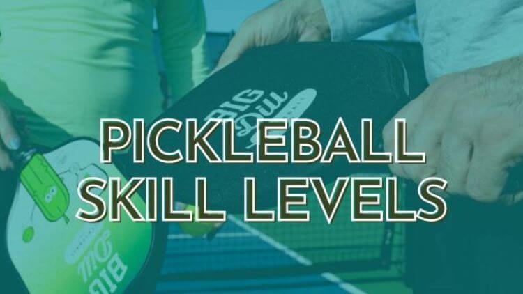 pickleball levels