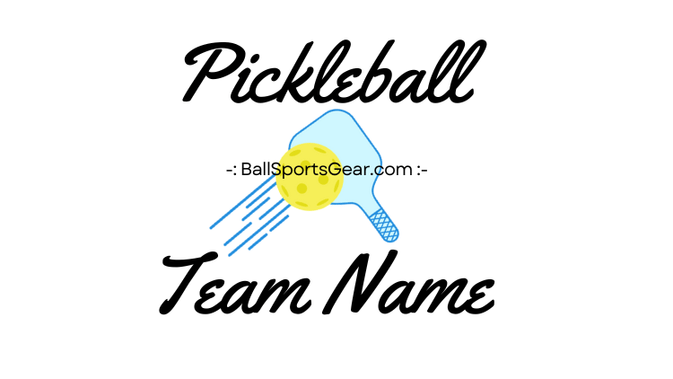 good pickleball team names
