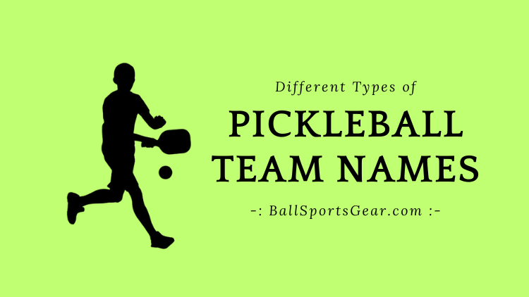 best pickleball team names
