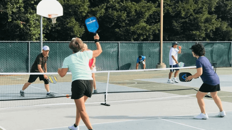 pittsburgh pickleball courts
