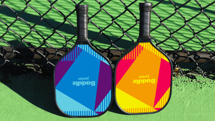 Why Are Pickleball Paddles So Expensive?